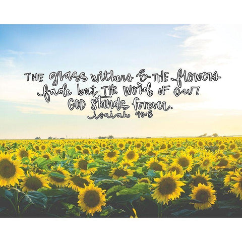 Flowers Fade Gold Ornate Wood Framed Art Print with Double Matting by Wieners, Valerie