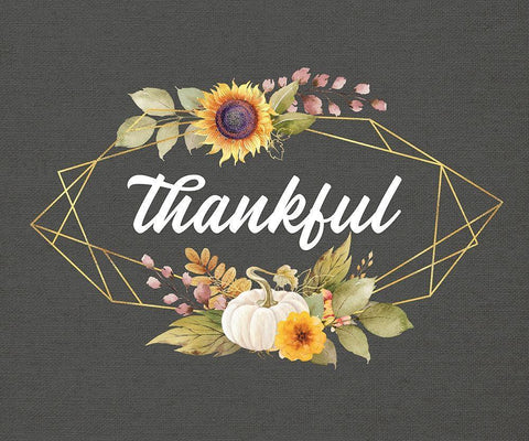 Thankful White Modern Wood Framed Art Print with Double Matting by Wieners, Valerie