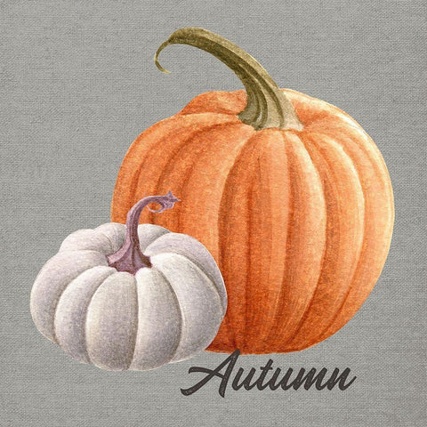 Autumn White Modern Wood Framed Art Print with Double Matting by Wieners, Valerie