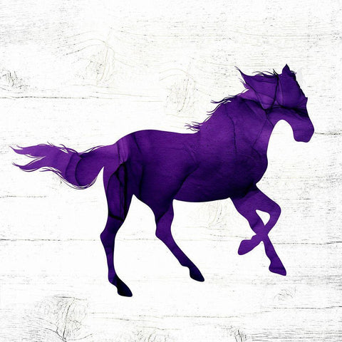 Horse II White Modern Wood Framed Art Print by Wieners, Valerie