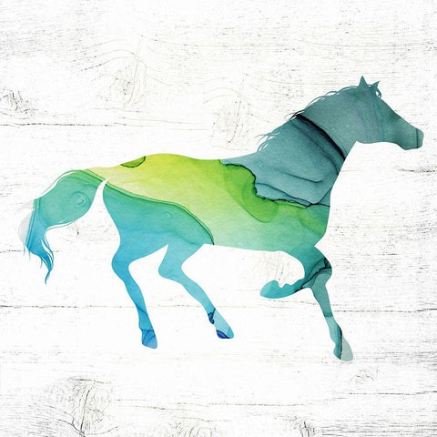 Horse IV White Modern Wood Framed Art Print with Double Matting by Wieners, Valerie