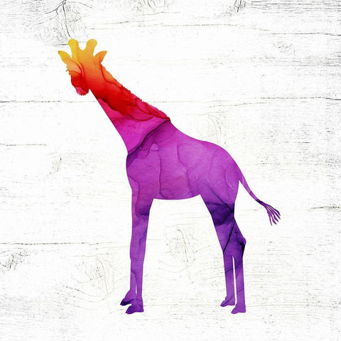 Giraffe White Modern Wood Framed Art Print by Wieners, Valerie