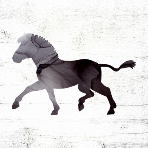 Zebra White Modern Wood Framed Art Print by Wieners, Valerie