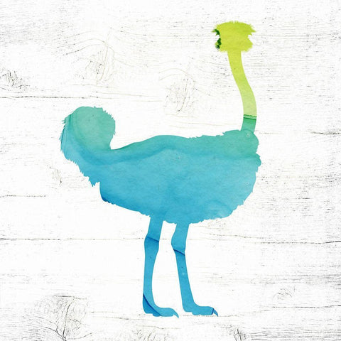 Ostrich Black Modern Wood Framed Art Print by Wieners, Valerie