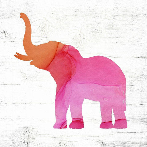 Elephant White Modern Wood Framed Art Print with Double Matting by Wieners, Valerie