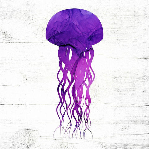 Jelly Fish White Modern Wood Framed Art Print with Double Matting by Wieners, Valerie