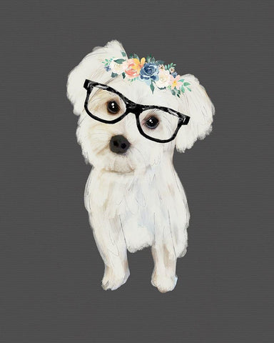 Morkie White Modern Wood Framed Art Print with Double Matting by Wieners, Valerie