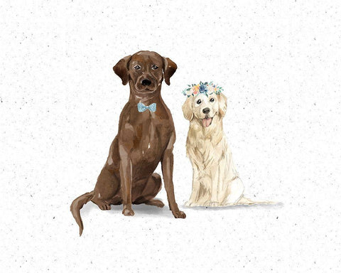 Labs White Modern Wood Framed Art Print with Double Matting by Wieners, Valerie