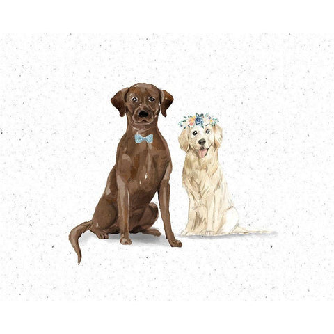 Labs Black Modern Wood Framed Art Print with Double Matting by Wieners, Valerie