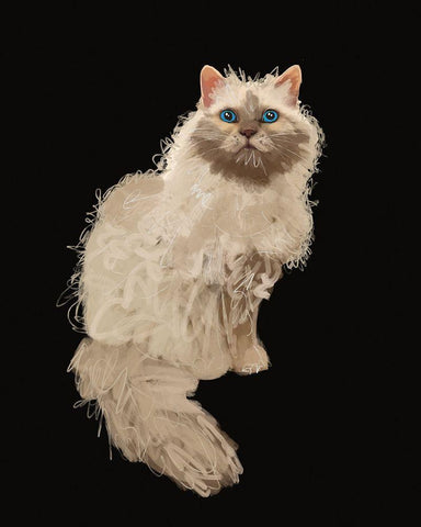 Cat White Modern Wood Framed Art Print with Double Matting by Wieners, Valerie