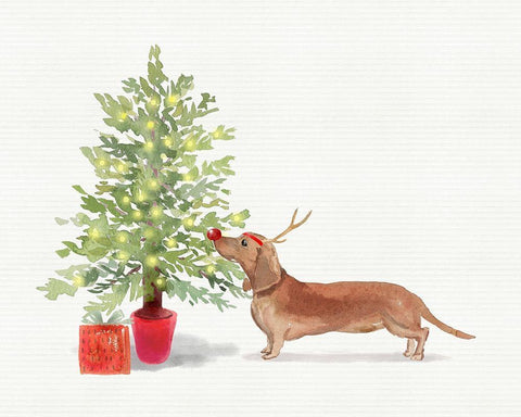 Dox White Modern Wood Framed Art Print with Double Matting by Wieners, Valerie