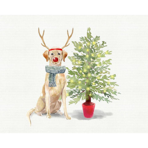 Labs White Modern Wood Framed Art Print by Wieners, Valerie