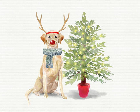 Labs White Modern Wood Framed Art Print with Double Matting by Wieners, Valerie