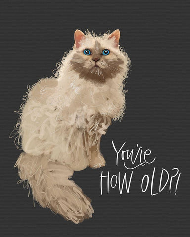 Old White Modern Wood Framed Art Print with Double Matting by Wieners, Valerie