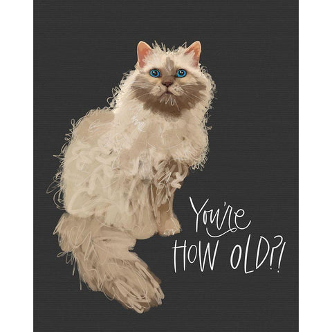 Old White Modern Wood Framed Art Print by Wieners, Valerie