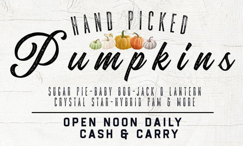 Hand Picked Pumpkin White Modern Wood Framed Art Print with Double Matting by Wieners, Valerie