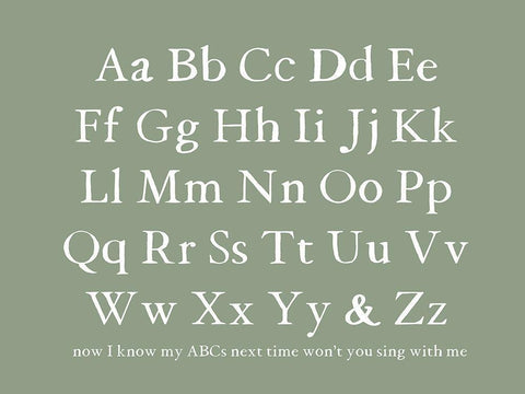 ABC Chart White Modern Wood Framed Art Print with Double Matting by Wieners, Valerie