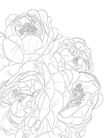 Flower Outline Black Ornate Wood Framed Art Print with Double Matting by Wieners, Valerie