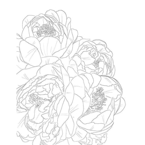 Flower Outline Black Modern Wood Framed Art Print by Wieners, Valerie