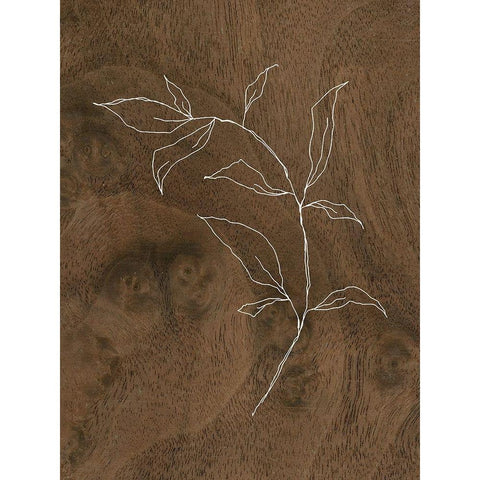 Wispy Wood I Black Modern Wood Framed Art Print with Double Matting by Wieners, Valerie