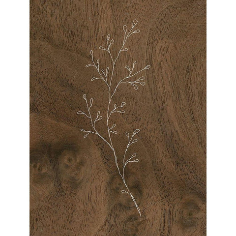 Wispy Wood II Gold Ornate Wood Framed Art Print with Double Matting by Wieners, Valerie