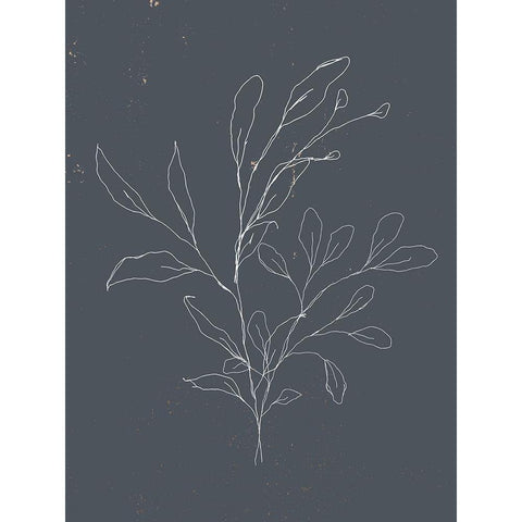 Soft Bouquet I Black Modern Wood Framed Art Print with Double Matting by Wieners, Valerie