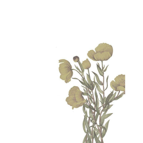 Wildflowers Black Modern Wood Framed Art Print with Double Matting by Wieners, Valerie