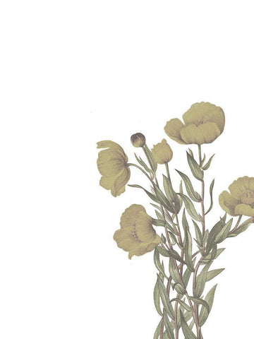 Wildflowers White Modern Wood Framed Art Print with Double Matting by Wieners, Valerie