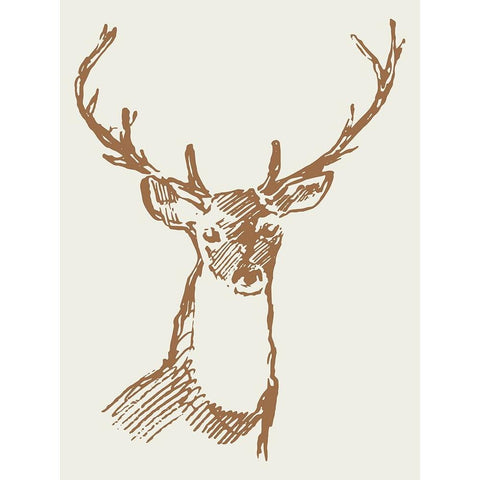 Natural Deer II Black Modern Wood Framed Art Print by Wieners, Valerie