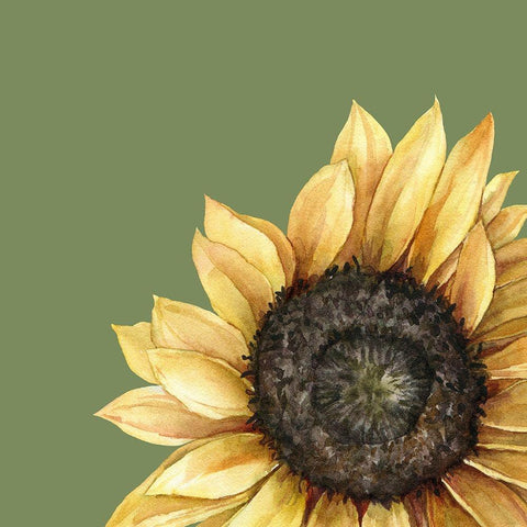 Sunflower Black Modern Wood Framed Art Print with Double Matting by Wieners, Valerie