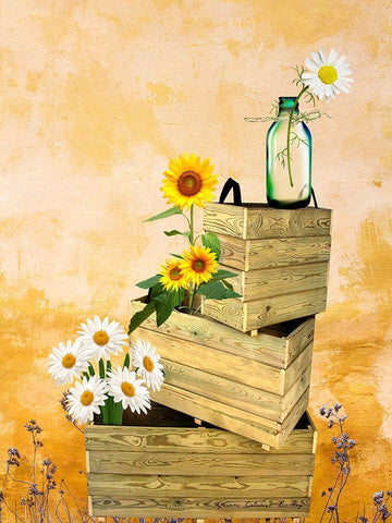 Country Flowers White Modern Wood Framed Art Print with Double Matting by Burney, Yvonne Coleman