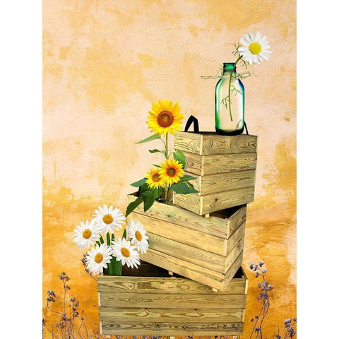 Country Flowers Black Modern Wood Framed Art Print by Burney, Yvonne Coleman