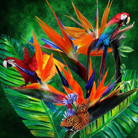 Jungle Boogie Black Modern Wood Framed Art Print by Burney, Yvonne Coleman