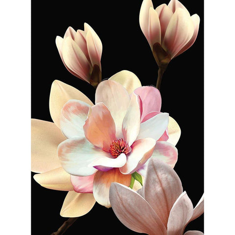 Garden Party Black Modern Wood Framed Art Print with Double Matting by Burney, Yvonne Coleman