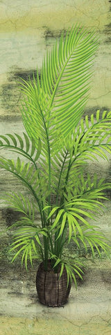 Palm Tree Black Ornate Wood Framed Art Print with Double Matting by Burney, Yvonne Coleman