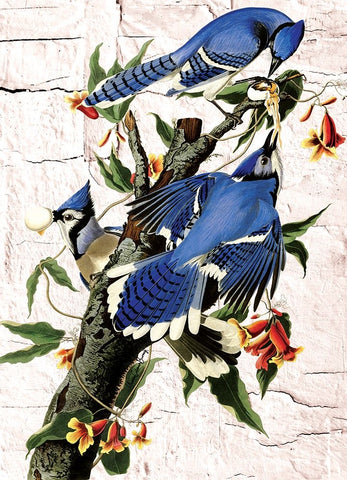 Blue Jays Black Ornate Wood Framed Art Print with Double Matting by Burney, Yvonne Coleman