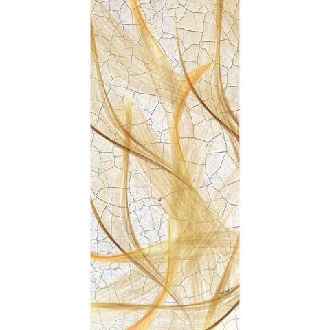 Providence Botanical Black Modern Wood Framed Art Print by Burney, Yvonne Coleman