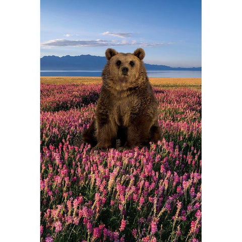 Bear in the Fields Black Modern Wood Framed Art Print with Double Matting by Burney, Yvonne Coleman