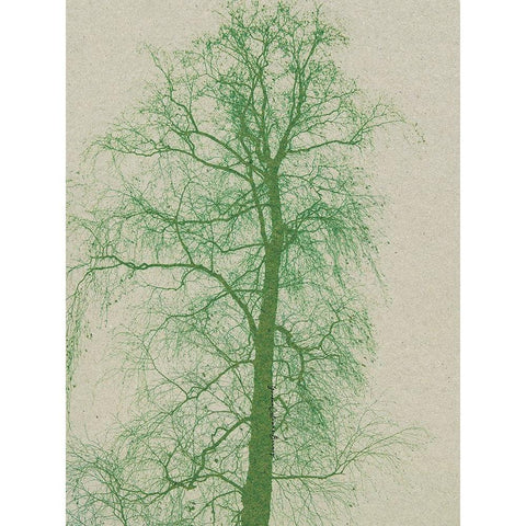 Forest Vibes Gold Ornate Wood Framed Art Print with Double Matting by Burney, Yvonne Coleman