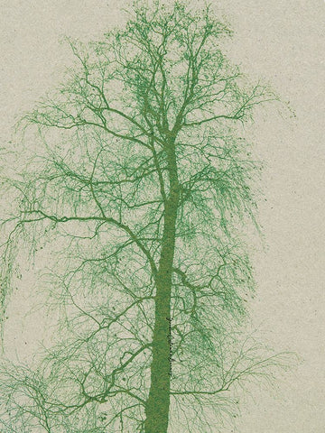 Forest Vibes White Modern Wood Framed Art Print with Double Matting by Burney, Yvonne Coleman