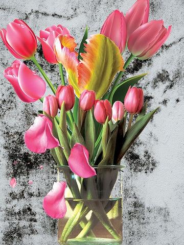 Pink Tulips Black Modern Wood Framed Art Print by Burney, Yvonne Coleman