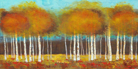 Atmosphere Black Ornate Wood Framed Art Print with Double Matting by Yellow Cafe