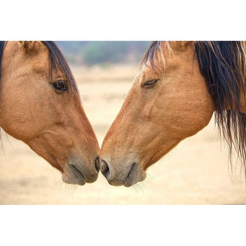 Best Friends Black Modern Wood Framed Art Print by Yellow Cafe