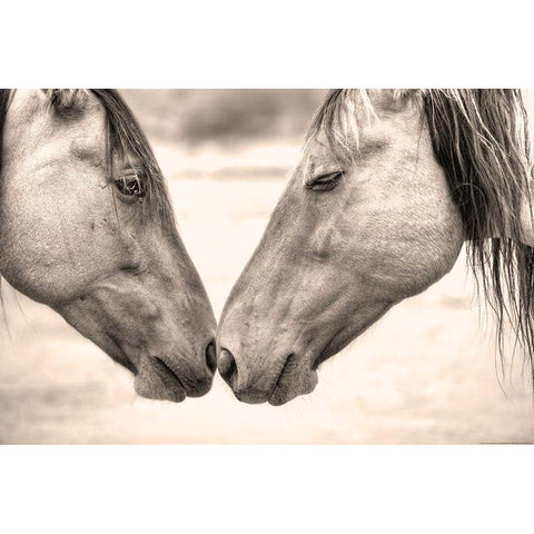 Best Friends II White Modern Wood Framed Art Print by Yellow Cafe