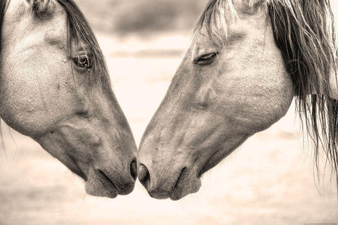 Best Friends II White Modern Wood Framed Art Print with Double Matting by Yellow Cafe