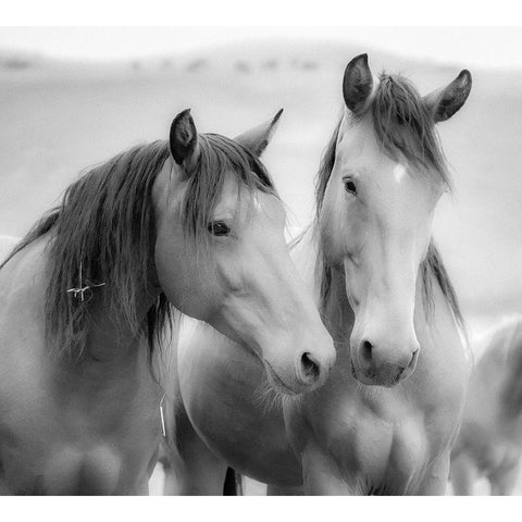 Horse Friends Gold Ornate Wood Framed Art Print with Double Matting by Yellow Cafe