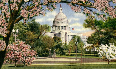 US Capitol Black Ornate Wood Framed Art Print with Double Matting by Yellow Cafe