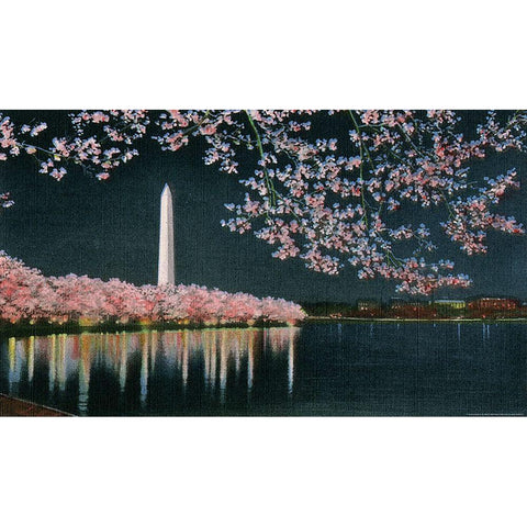 Washington at Night White Modern Wood Framed Art Print by Yellow Cafe