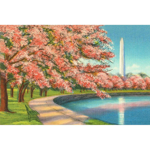 Washington DC White Modern Wood Framed Art Print by Yellow Cafe