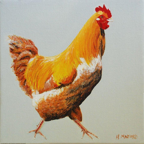 Blonde Chicken White Modern Wood Framed Art Print by Yellow Cafe